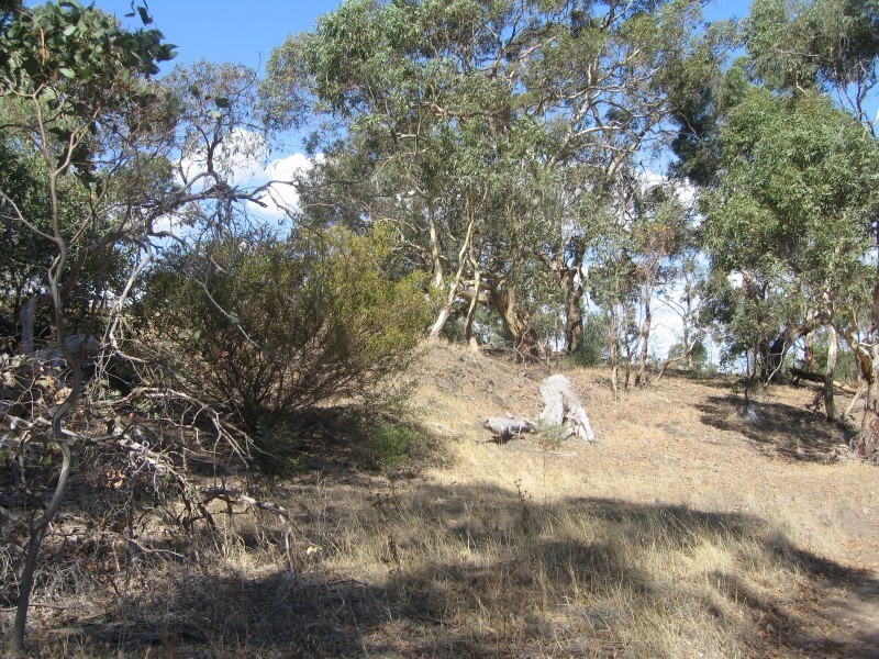 Lot 112 Mattschoss Road, Daveyston SA 5355