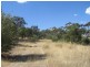 Lot 113 Mattschoss Road, Daveyston SA 5355