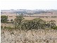 Sec 268 Hundred of Dutton, Truro SA 5356