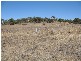 Sec 268 Hundred of Dutton, Truro SA 5356