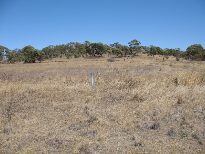 Sec 268 Hundred of Dutton, Truro SA 5356
