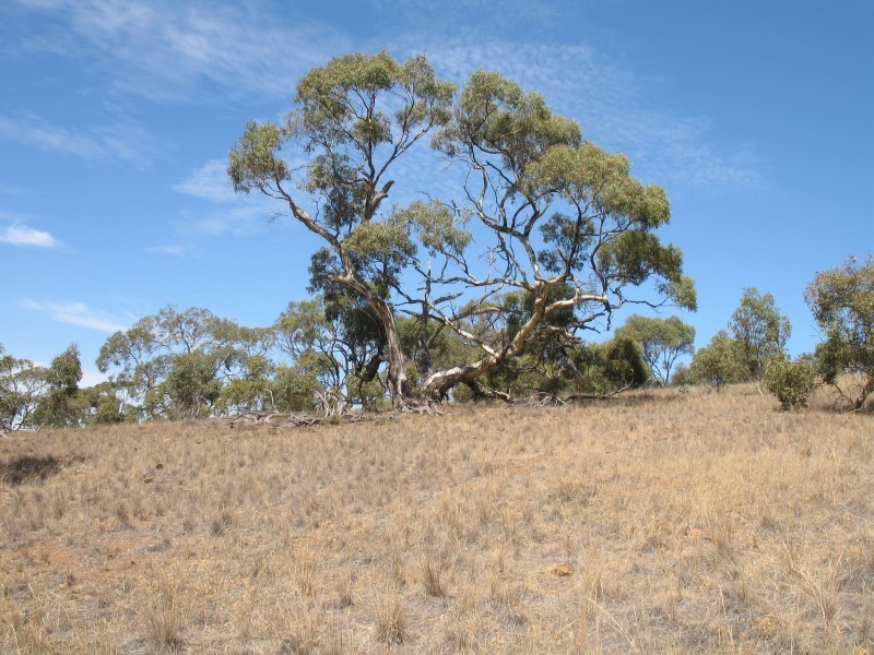 Sec 268 Hundred of Dutton, Truro SA 5356
