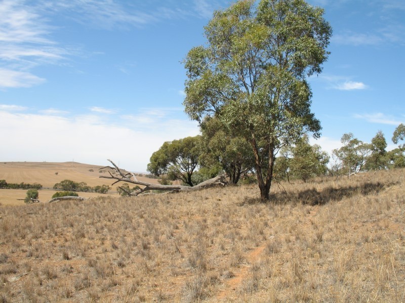 Sec 268 Hundred of Dutton, Truro SA 5356