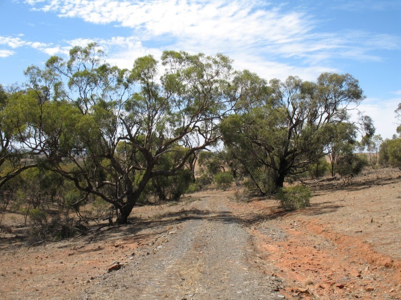 Sec 268 Hundred of Dutton, Truro SA 5356