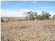 Sec 268 Hundred of Dutton, Truro SA 5356