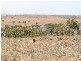 Sec 268 Hundred of Dutton, Truro SA 5356