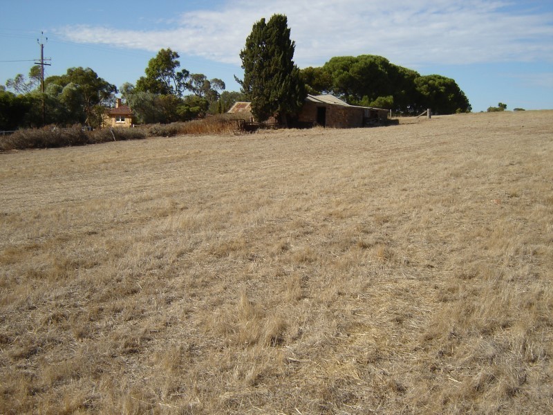 Lot 115 Moculta Road, Truro SA 5356