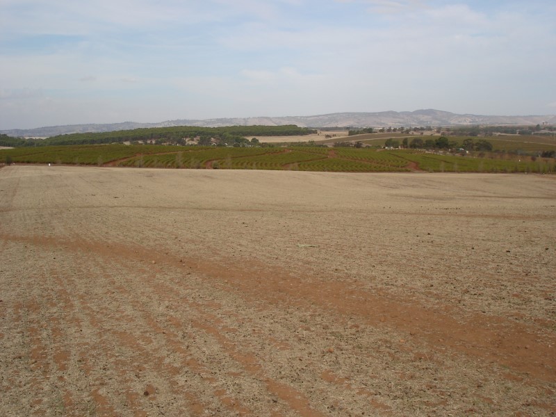 Lot 792 Greenock Road, Seppeltsfield SA 5355