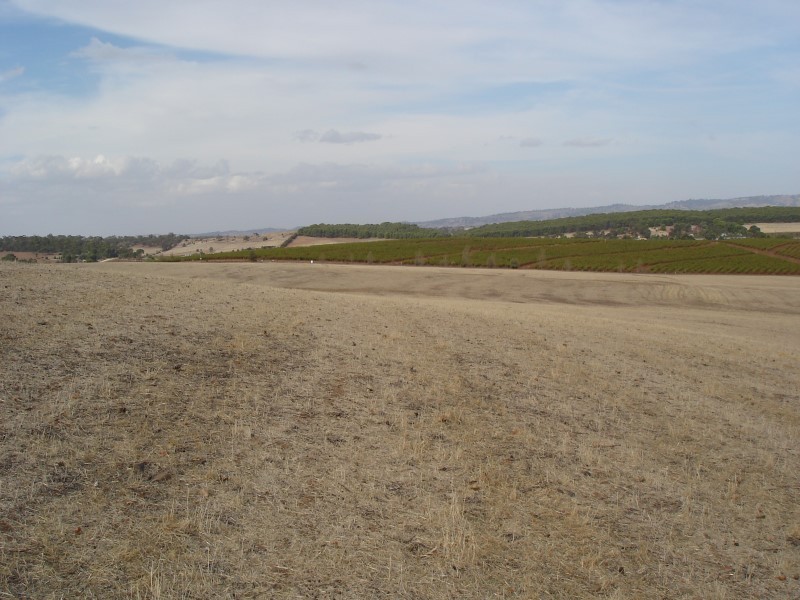 Lot 792 Greenock Road, Seppeltsfield SA 5355