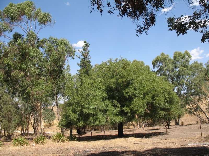 Lot 593 Bartsch Road, Eden Valley SA 5235