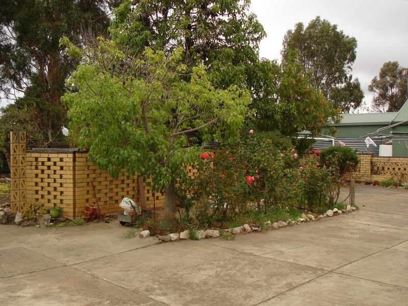 16 Gramp Avenue, Angaston SA 5353