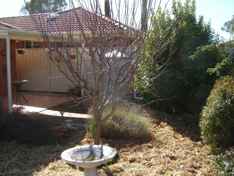a/15 First Avenue, Tanunda SA 5352