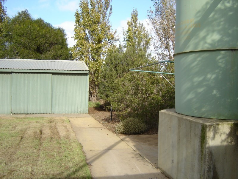 55 Greenock Road, Nuriootpa SA 5355