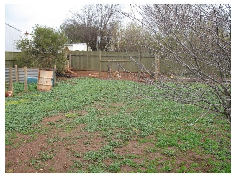 44 Barwell Street, Eudunda SA 5374