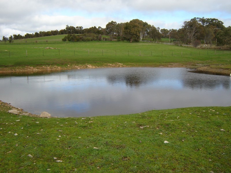 Lot 100 Flaxmans Valley Road, Angaston SA 5353