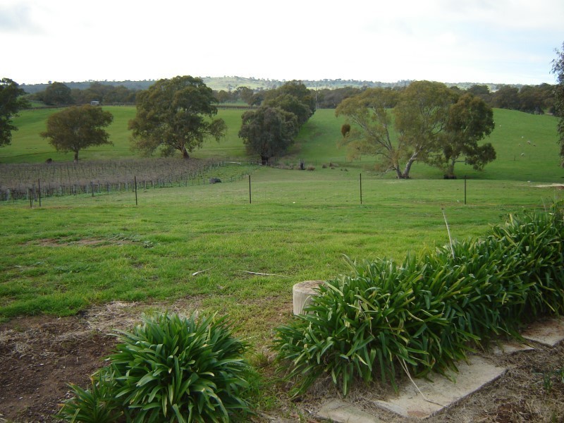 Lot 100 Flaxmans Valley Road, Angaston SA 5353