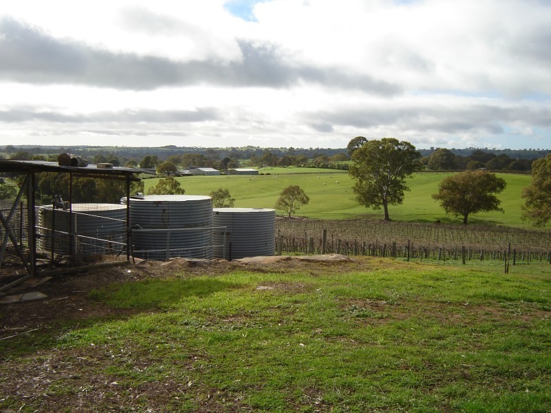 Lot 100 Flaxmans Valley Road, Angaston SA 5353