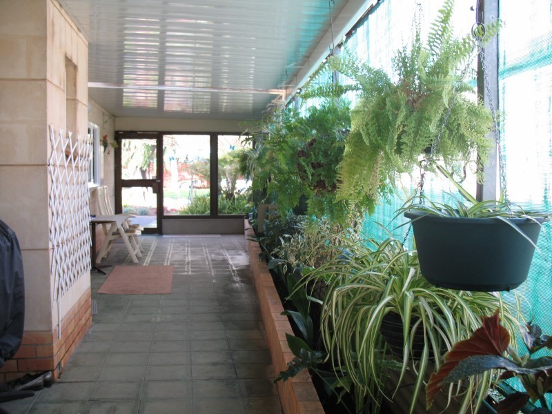 8 Para Ave, Nuriootpa SA 5355