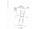 57 Basedow Road, Tanunda SA 5352