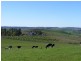 Lot 231 Moculta Road, Angaston SA 5353