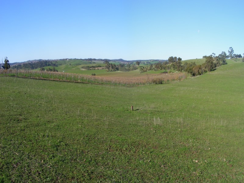 Lot 231 Moculta Road, Angaston SA 5353