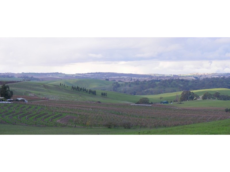 Lot 231 Moculta Road, Angaston SA 5353