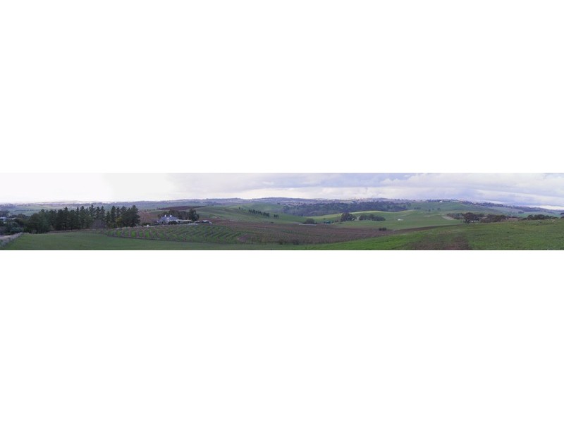 Lot 231 Moculta Road, Angaston SA 5353