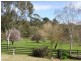 24-26 Langmeil Rd, Tanunda SA 5352