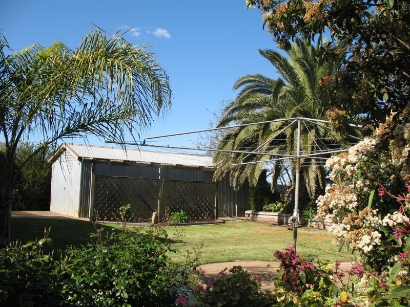 45 John Harris Drive, Nuriootpa SA 5355