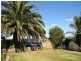 45 John Harris Drive, Nuriootpa SA 5355