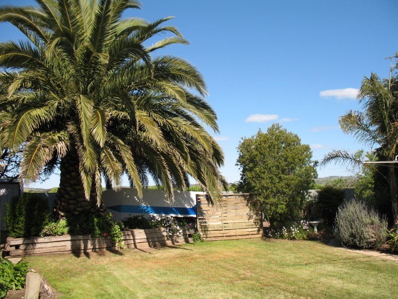 45 John Harris Drive, Nuriootpa SA 5355