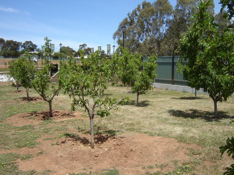 4a Barons Court, Greenock SA 5360