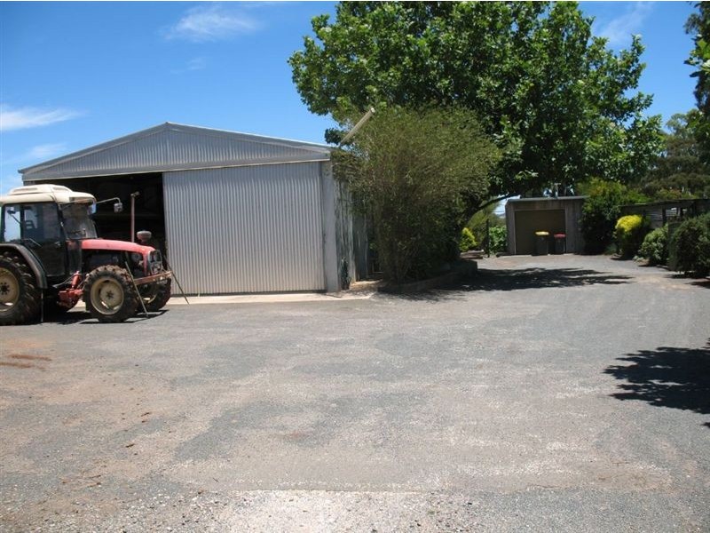 Lot 429 Penrice Road, Nuriootpa SA 5355