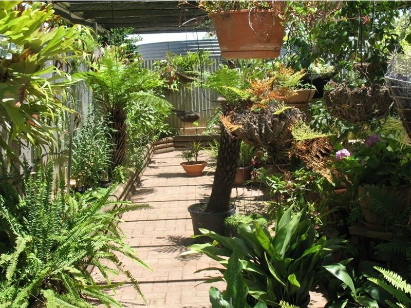 Lot 429 Penrice Road, Nuriootpa SA 5355
