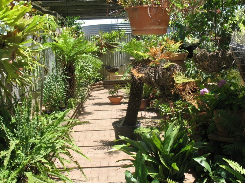 Lot 429 Penrice Road, Nuriootpa SA 5355