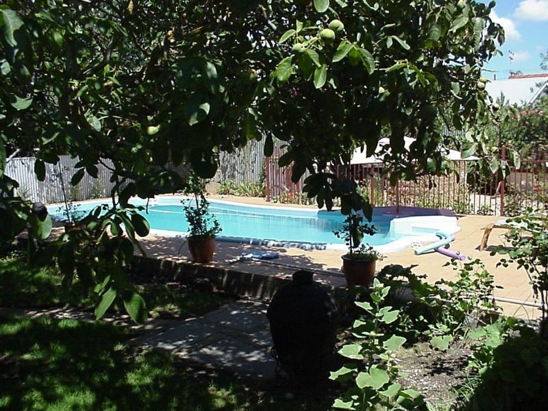 15 Maria Street, Tanunda SA 5352