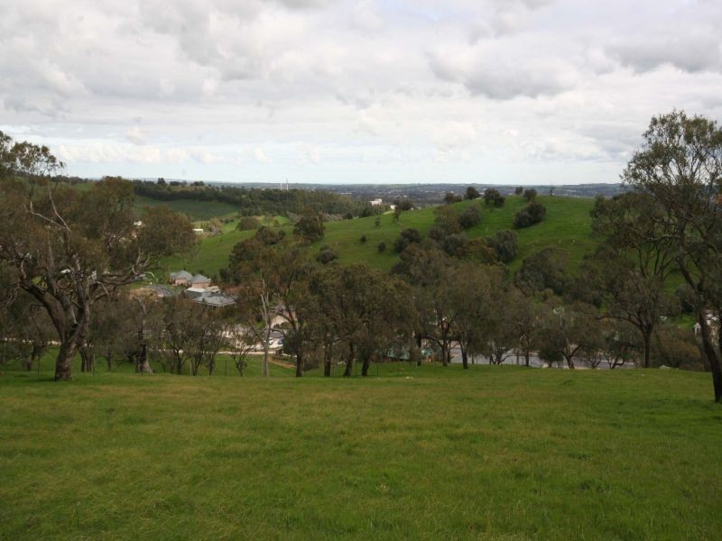 62 Penrice Road, Angaston SA 5353
