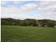 62 Penrice Road, Angaston SA 5353