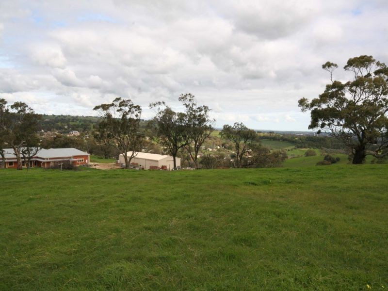 62 Penrice Road, Angaston SA 5353