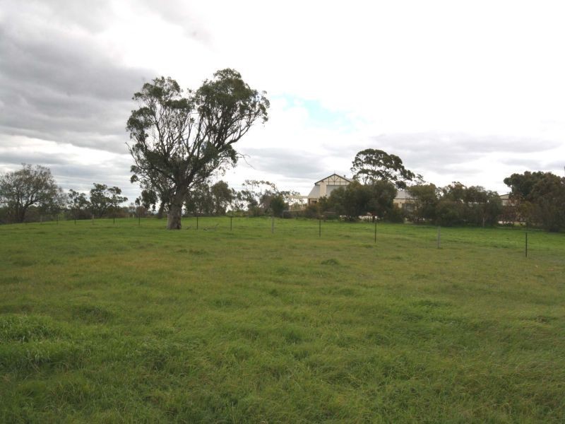62 Penrice Road, Angaston SA 5353