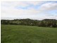 62 Penrice Road, Angaston SA 5353