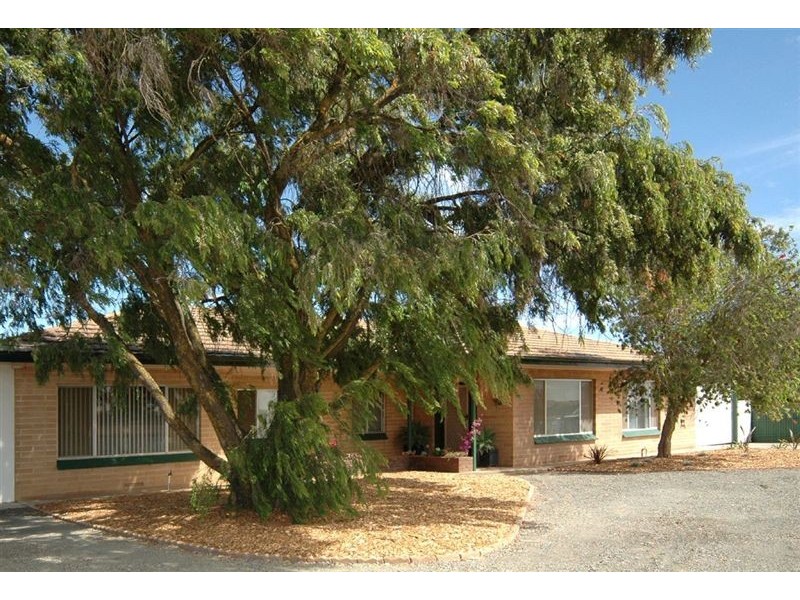 Lot 314 Light Pass Road, Light Pass SA 5355