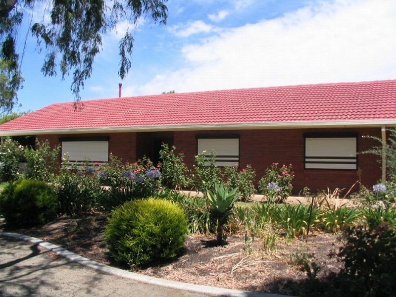 6 Armstrong Avenue, Nuriootpa SA 5355