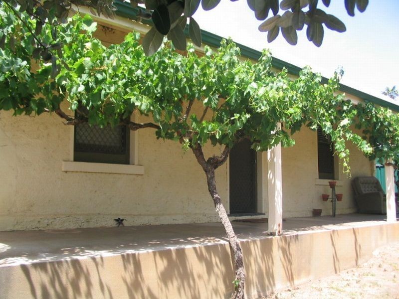 25 Sturt Street, Angaston SA 5353