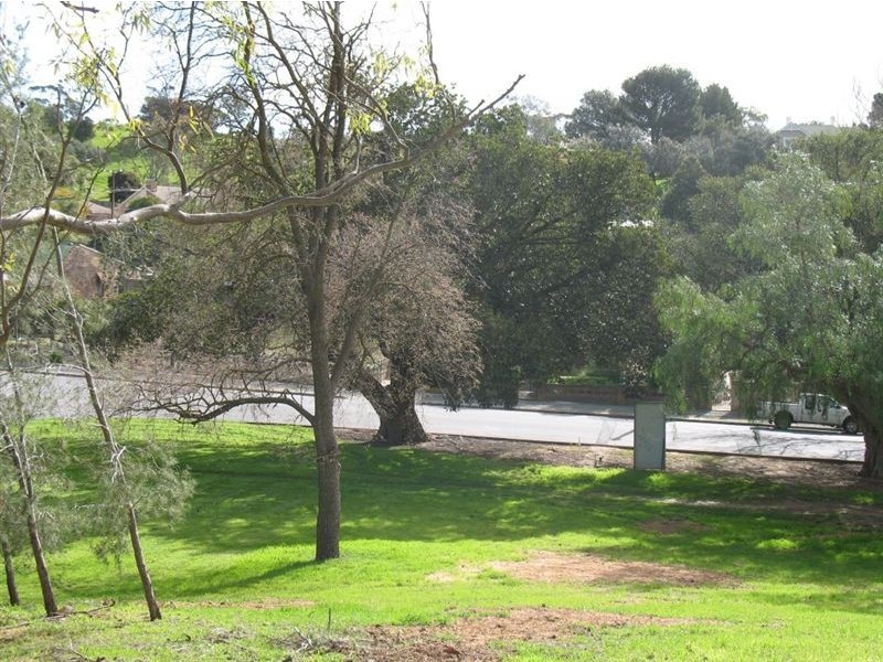Lot 95 Washington Street, Angaston SA 5353