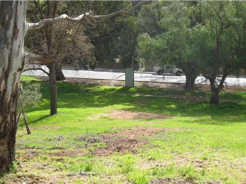 Lot 95 Washington Street, Angaston SA 5353