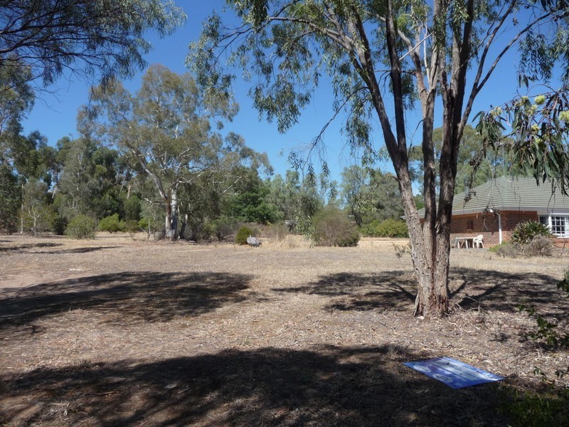 Lots 4 & 5 Rushall Road, Lyndoch SA 5351
