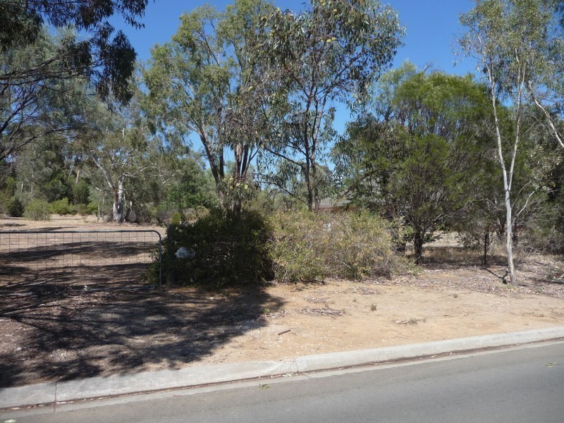 Lots 4 & 5 Rushall Road, Lyndoch SA 5351