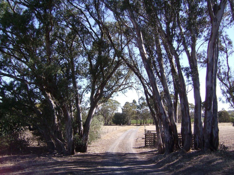 Lot 55 Crennis Mines Road, Angaston SA 5353