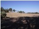 Lot 55 Crennis Mines Road, Angaston SA 5353